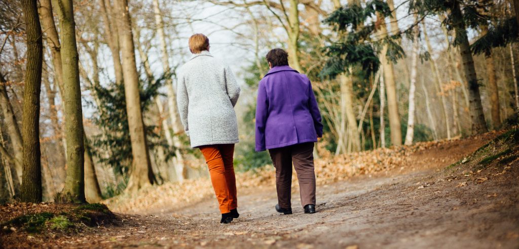 Wandelen in het bos